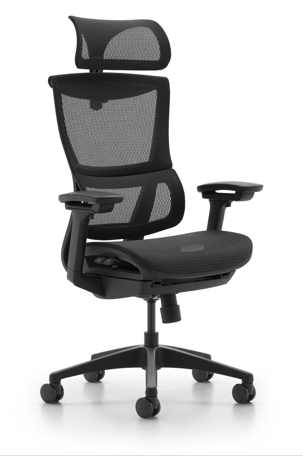 Ergowin B-A mesh chair (6)